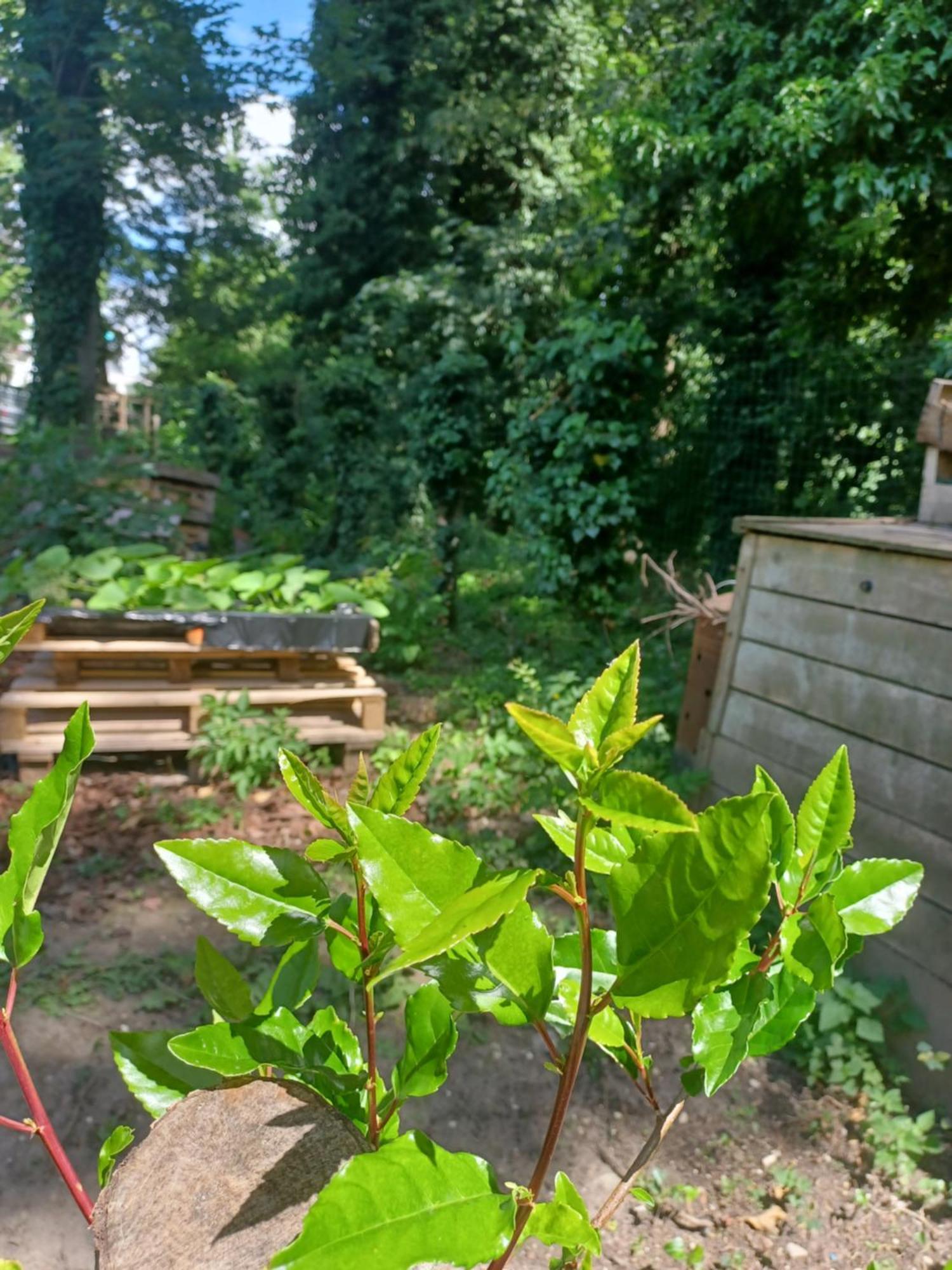 L'Hothentique Proche Arras Bed & Breakfast Saint-Laurent-Blangy ภายนอก รูปภาพ